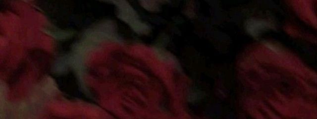 ゆらさんの壁紙画像