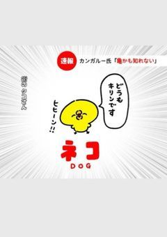 The・カオスL〇NE〜主役はオレらのオプチャ〜