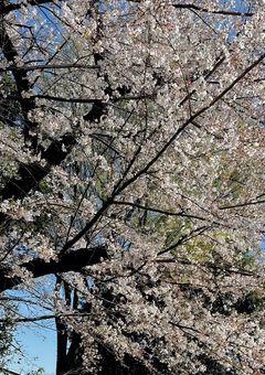 ちょっとやばいんだけど