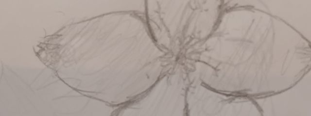 鈴木さんの壁紙画像