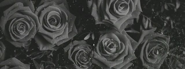 睡眠桃さんの壁紙画像