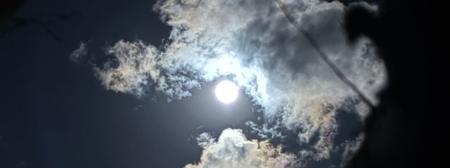 西薗 伊那さんの壁紙画像