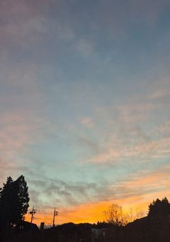 君がくれたコーラは、恋の味がした