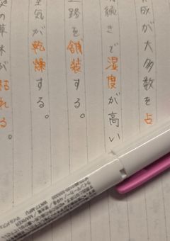 お勉強しよ~!!!!