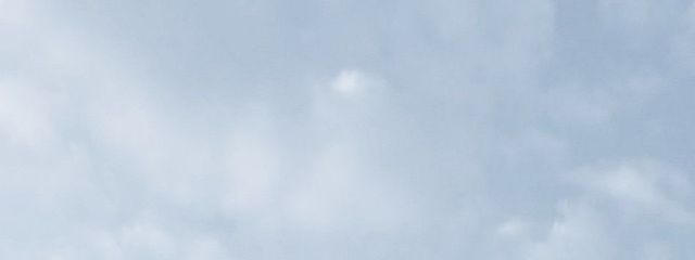 りお .さんの壁紙画像