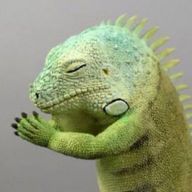 ありーまんとわねっとさんのアイコン画像