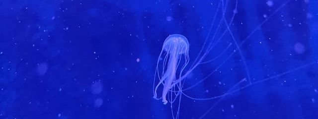 來夢さんの壁紙画像