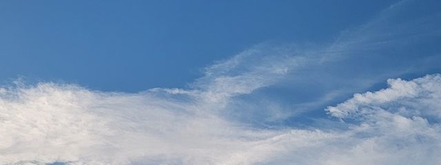 ❄️ありゃーと❄️さんの壁紙画像