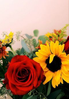 rzli🟥🟨オメガバ、パロ【mtxx】