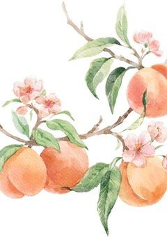 k/r/p/t🌈🍑BL短編集(主にtt受け固定)