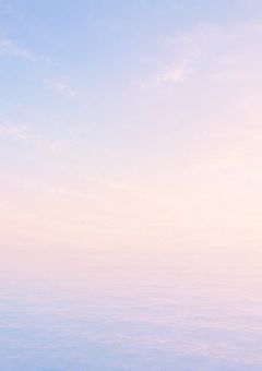 ︎︎⟡ キミの横顔に春が来る。