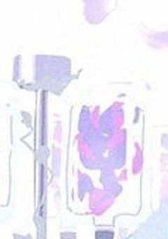 嘘つきな私は“大丈夫”と偽って“優等生”を演じる