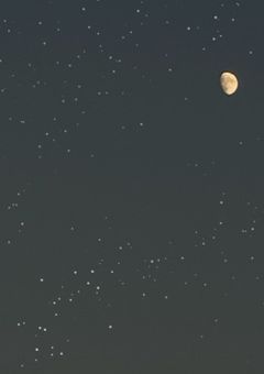 【sxxn】sxxnたんぺんしゅー