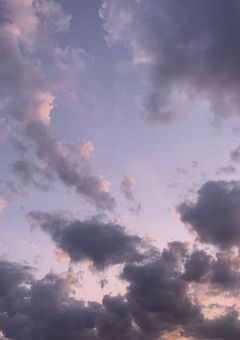 とーとるーむ。