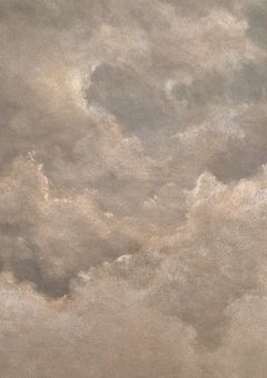 キューピッド・シンドローム