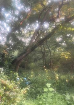 終われない君に、小さな愛を