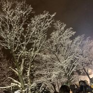 はるさんのアイコン画像