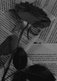  がんばれ ドン*｡ ⚠️腐向け