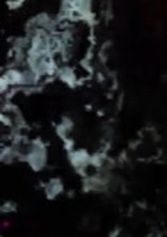 今日からVOISING執事を務めさせていただきます。