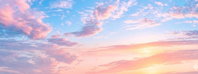 ミコッチ #🐶🐾さんの壁紙画像