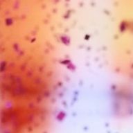 ͛ᴿ⸝⋆ℯ𝕀ⁿಇ.さんのアイコン画像