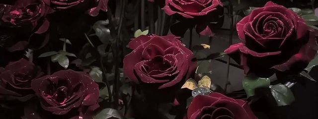 ナユタ さんの壁紙画像