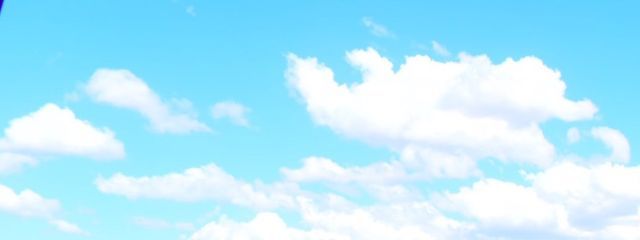 ORCAさんの壁紙画像