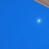 ゆよさんのアイコン画像