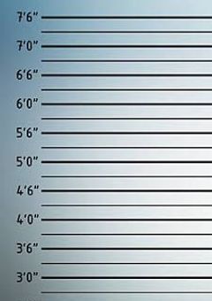 ✧  私達 の  罪  を聞け ＿＿ .     【 MILGRAM参加型】