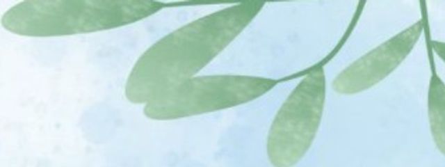 零亜さんの壁紙画像