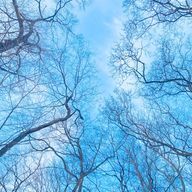 AMPTAKxCOLORSさんのアイコン画像