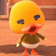 🪿さんのアイコン画像