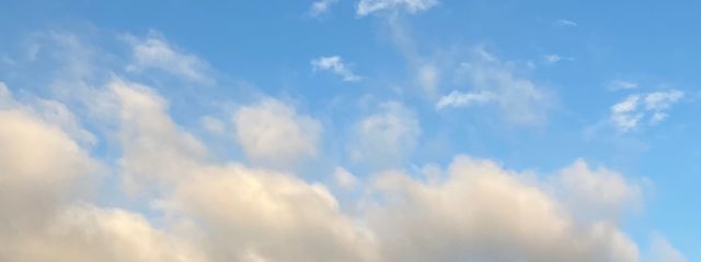 とあさんの壁紙画像