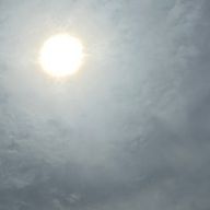 たかねさんのアイコン画像