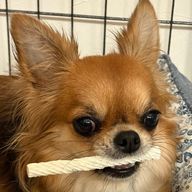 神楽さんのアイコン画像