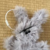 アイスさんのアイコン画像