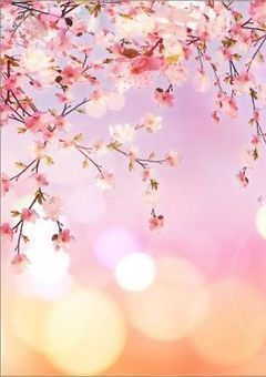 桜散る夢の中で君に出会った。