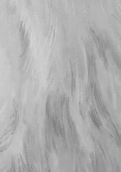 もふもふ事務員さん