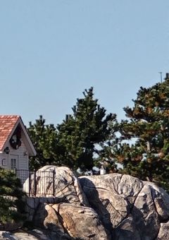 #　イベント  【 夏コラ 】