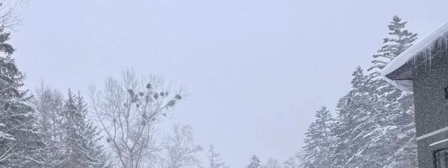 かのんさんの壁紙画像