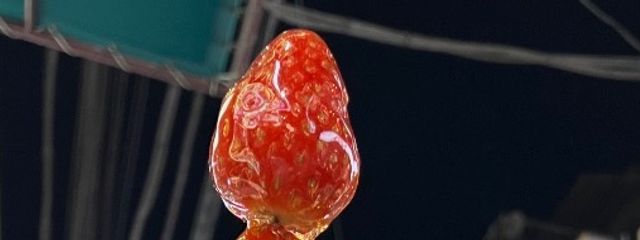 いぇいさんの壁紙画像