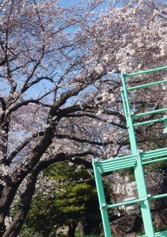 ガチの日常ネタ