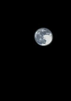 おれを必需品にしよ。