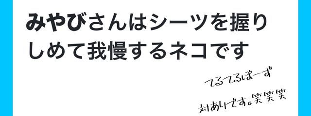 雅さんの壁紙画像