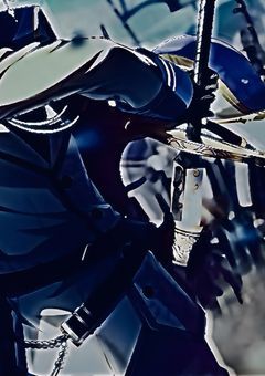 # I am the princess's shield and sword .