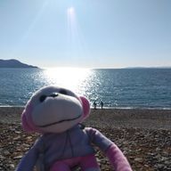 ただのおにぎり好きさんのアイコン画像