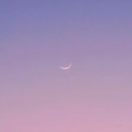 Tsukky@復活しました！！さんのアイコン画像