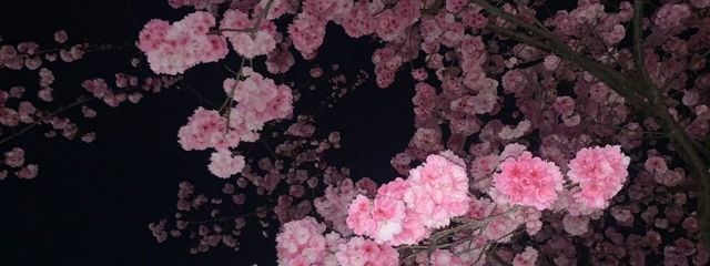 ゆづさんの壁紙画像