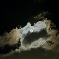 ヤチンさんのアイコン画像