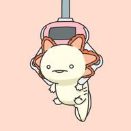 メキシコサラマンダーヘ(゚∀゚ヘ)アヒャさんのアイコン画像